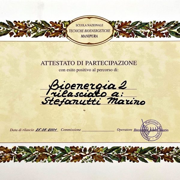 Attestato di Bioenergia 2